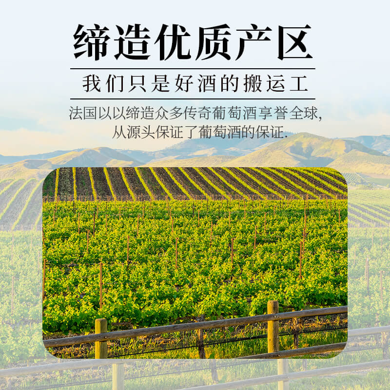 路易拉菲伯爵田园干红葡萄酒