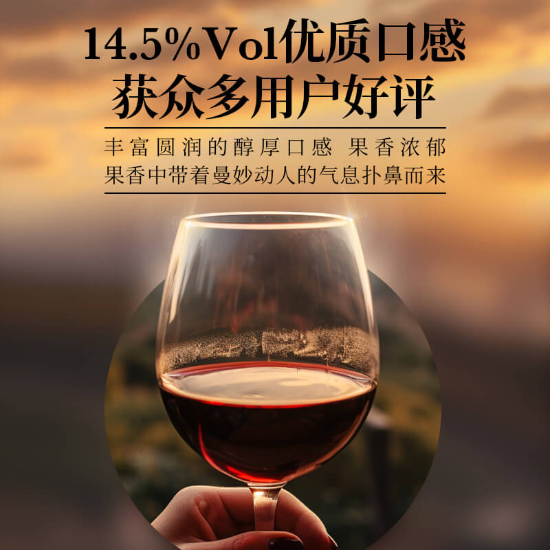 路易拉菲传奇梅多克干红葡萄酒