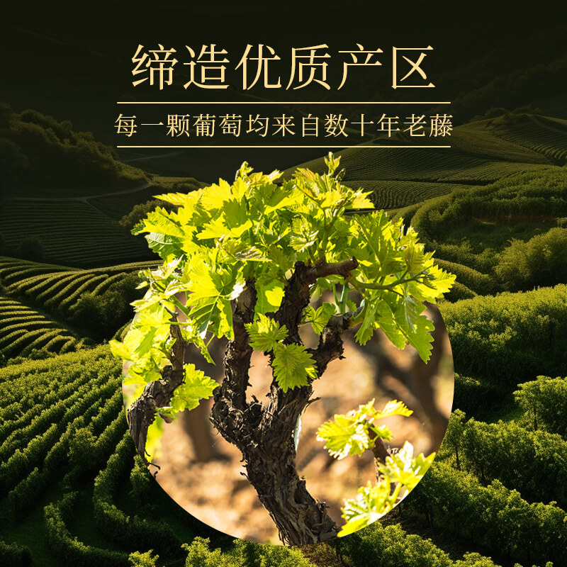 路易拉菲典藏梅多克干红葡萄酒