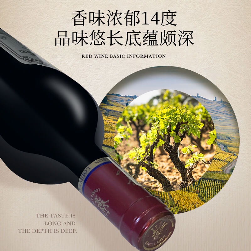 路易拉菲家族珍藏干红葡萄酒 源自2008