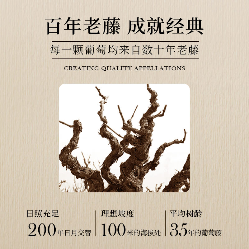 路易拉菲家族珍藏干红葡萄酒 源自2008